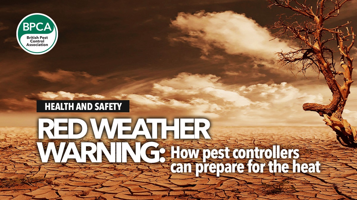 redweatherwarningpestcontrolheat redweatherwarningpestcontrolheat
